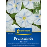 Kiepenkerl Morning Glory "Blue Star"