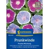 Kiepenkerl Morning Glory "Picotee Mix"