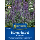 Kiepenkerl Woodland Sage "Blaukönigin"