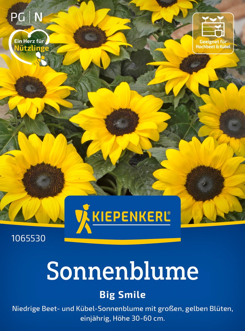 Kiepenkerl Sonnenblume 