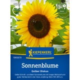 Kiepenkerl Sunflower "Gelber Diskus"