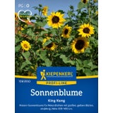 Kiepenkerl Sunflower "King Kong"