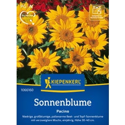 Kiepenkerl Sunflower 