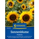 Kiepenkerl Sunflower 