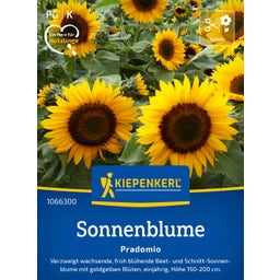 Kiepenkerl Sunflower 