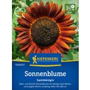 Kiepenkerl Sunflower- 