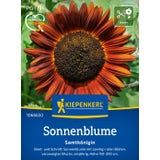 Kiepenkerl Sunflower- "Samtkönigin"