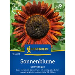 Kiepenkerl Sunflower- 