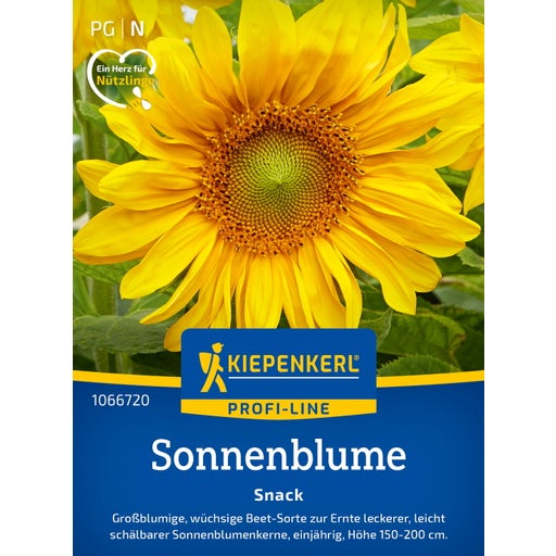 Kiepenkerl Sonnenblume "Snack" - 1 Pkg