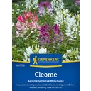 Kiepenkerl Cleome Spinnenpflanze Mischung - 1 Pkg