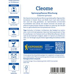 Kiepenkerl Cleome Spinnenpflanze Mischung - 1 Pkg