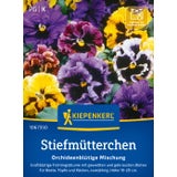 Kiepenkerl Pansies "Orchid Blossom Mix"