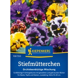 Kiepenkerl Pansies 