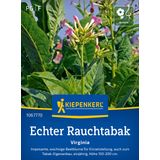 Kiepenkerl Nicotiana tabacum "Virginia"