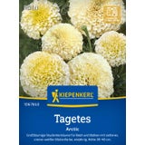 Kiepenkerl Tagetes "Arctic"