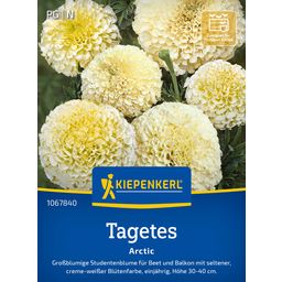 Kiepenkerl Marigolds 