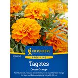 Kiepenkerl Marigolds "Cresto Orange"