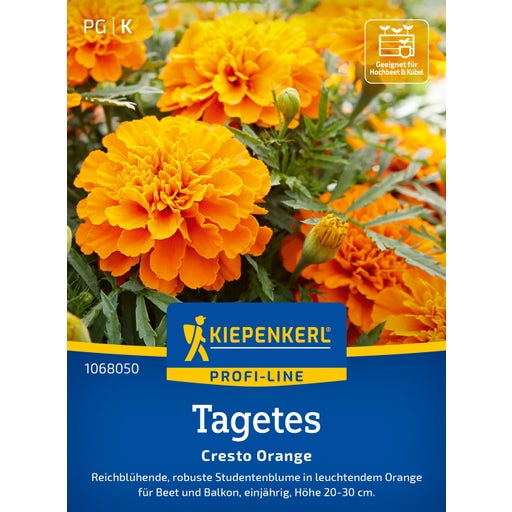 Kiepenkerl Tagetes "Cresto Orange" - 1 Pkg