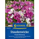 Kiepenkerl Perennial Sweet Pea Pastel Mix - 1 Pkg