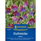 Kiepenkerl Sweet Pea "Ramia"