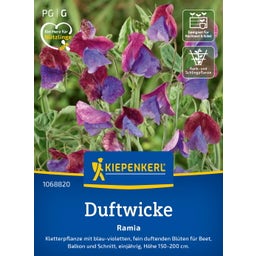 Kiepenkerl Sweet Pea 