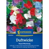 Kiepenkerl Sweet Pea Mix "Royal Mischung"