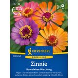 Kiepenkerl Zinnia Bumblebee