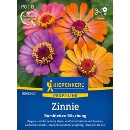 Kiepenkerl Zinnia - Bumblebee - 1 conf.