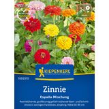 Kiepenkerl Zinnia "España Mix"