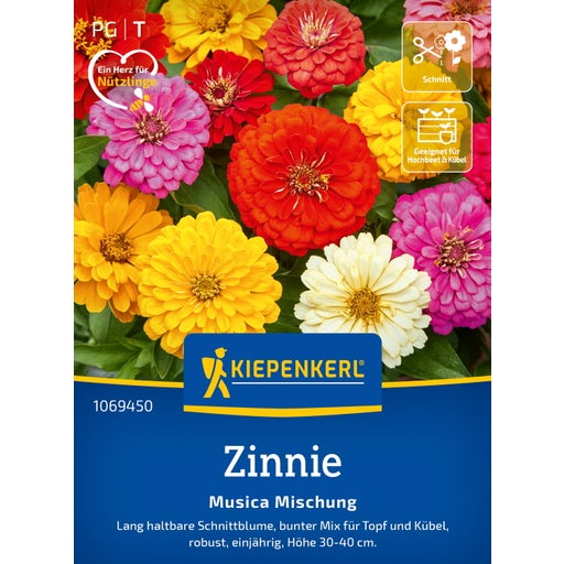 Kiepenkerl Zinnie Musica Mischung - 1 Pkg