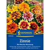 Kiepenkerl Zinnia "Old Mexiko"