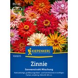 Kiepenkerl Youth-and-Age Zinnia 