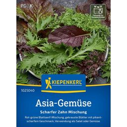 Kiepenkerl Brassica juncea - Scharfer Zahn-Mix - 1 Pkg