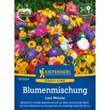 Kiepenkerl "Last Minute" Flower Mix