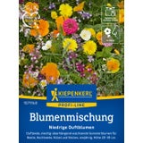 Kiepenkerl Low Growing Scented Flower Mix