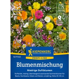 Kiepenkerl Low Growing Scented Flower Mix - 1 Pkg