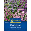 Kiepenkerl Aubrieta Superbissima Mix - 1 Pkg