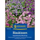 Kiepenkerl Aubrieta "Superbissima Elite"