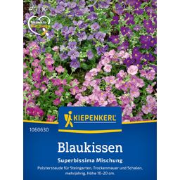 Kiepenkerl Aubrieta Superbissima Mix - 1 Pkg