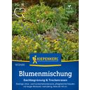 Kiepenkerl Roof Greening & Drought-Tolerant Grasses - 1 Pkg