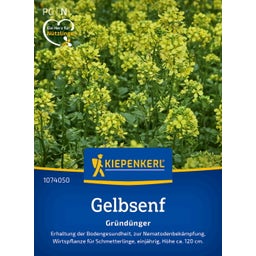 Kiepenkerl Yellow Mustard - 1 Pkg