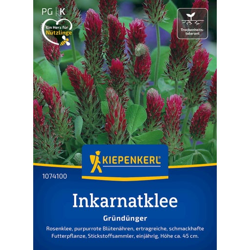 Kiepenkerl Trèfle Incarnat - 1 sachet