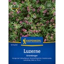 Kiepenkerl Lucerne - 1 Pkg