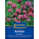 Kiepenkerl Red Clover - 1 Pkg