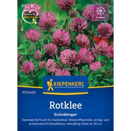 Kiepenkerl Red Clover - 1 Pkg