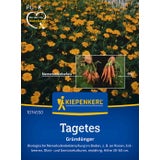 Marigolds "Single Gold" (Nematode Killer)