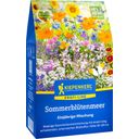 Sea of Summer Blossoms - Seed Mix