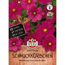 Sperli Cosmos Bipenné Rubin - 1 sachet