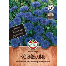 Sperli Kornblume Blauer Junge - 1 Pkg