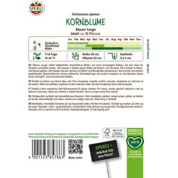 Sperli Kornblume Blauer Junge - 1 Pkg